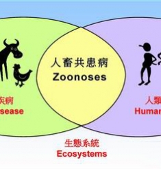 浅谈布鲁氏杆菌感染