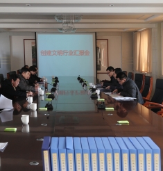 市文明行业检查组来我院检查指导工作